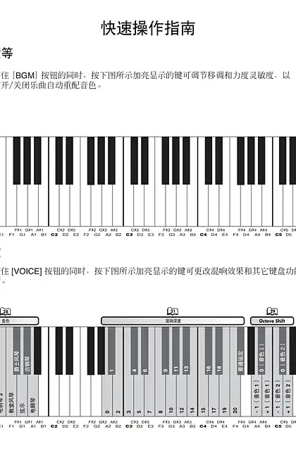 yamaha雅马哈H11 Quick Operation Guide